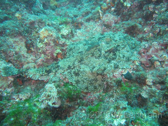 IMG_2985.JPG