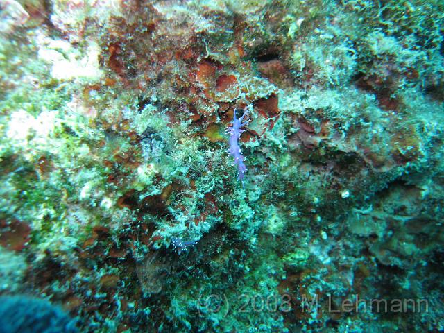 IMG_2989.JPG