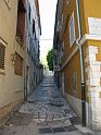 IMG_2948