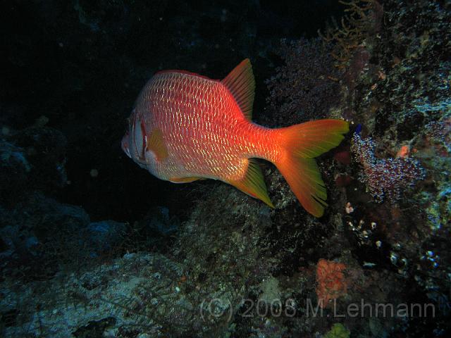 IMG_7607.JPG