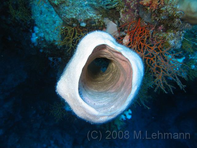 IMG_7608.JPG