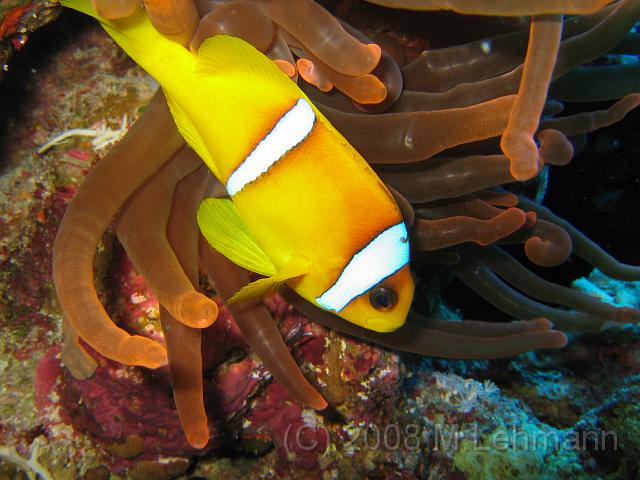 IMG_7611.JPG