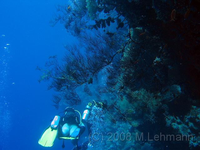 IMG_7622.JPG