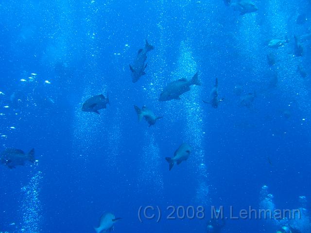 IMG_7628.JPG