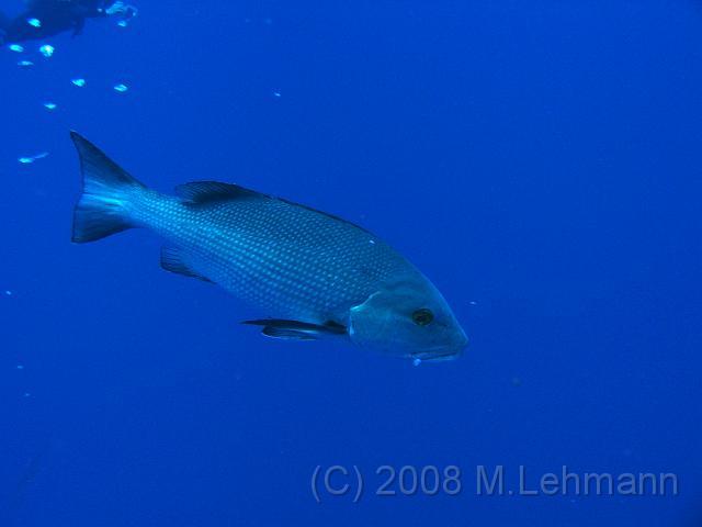 IMG_7632.JPG