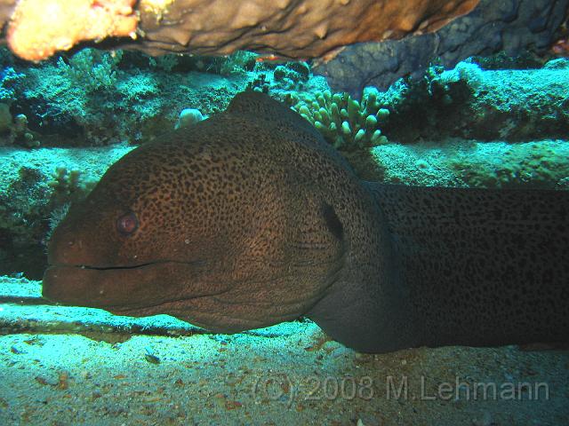 IMG_7636.JPG