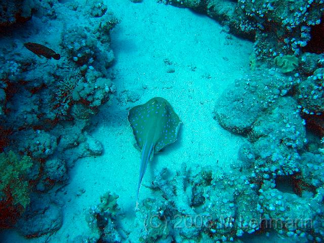 IMG_7648.JPG