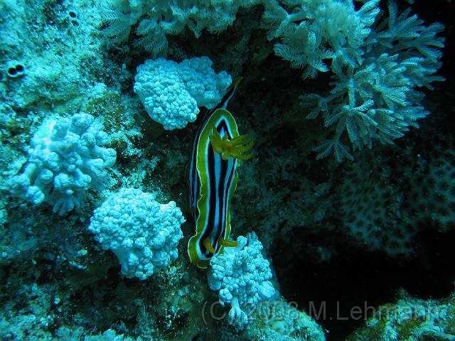 IMG_7675.JPG