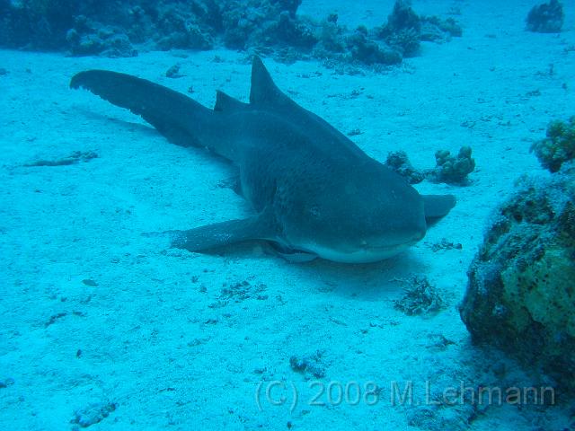 IMG_7698.JPG