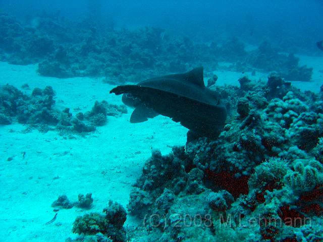 IMG_7701.JPG