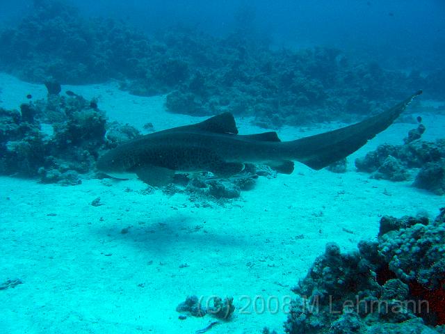 IMG_7702.JPG