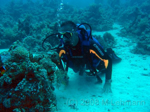 IMG_7705.JPG