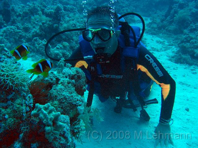 IMG_7706.JPG