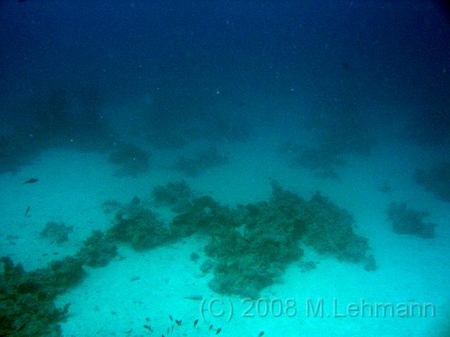 IMG_7709.JPG