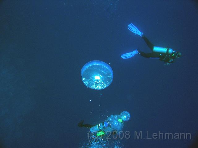 IMG_7717.JPG