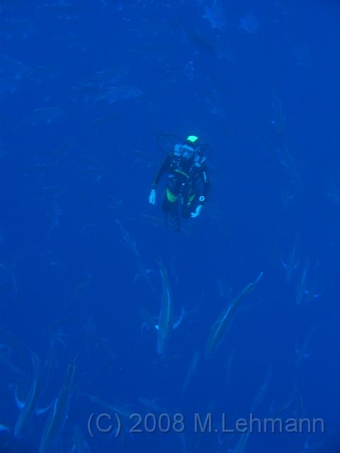 IMG_7726.JPG