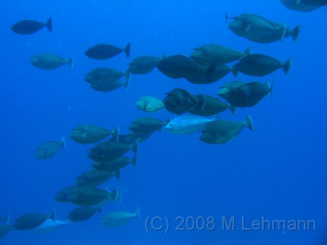 IMG_7734.JPG