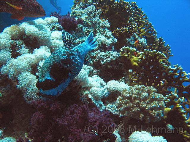 IMG_7736.JPG