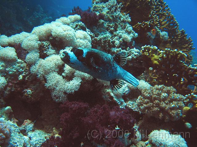 IMG_7737.JPG
