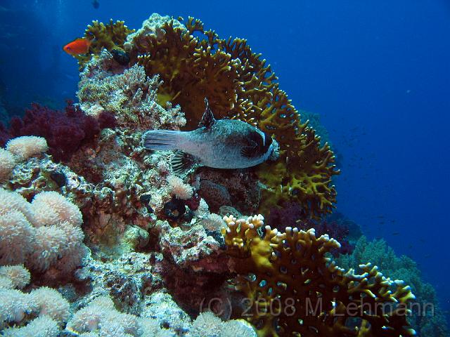 IMG_7738.JPG