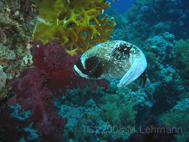 IMG_7739.JPG