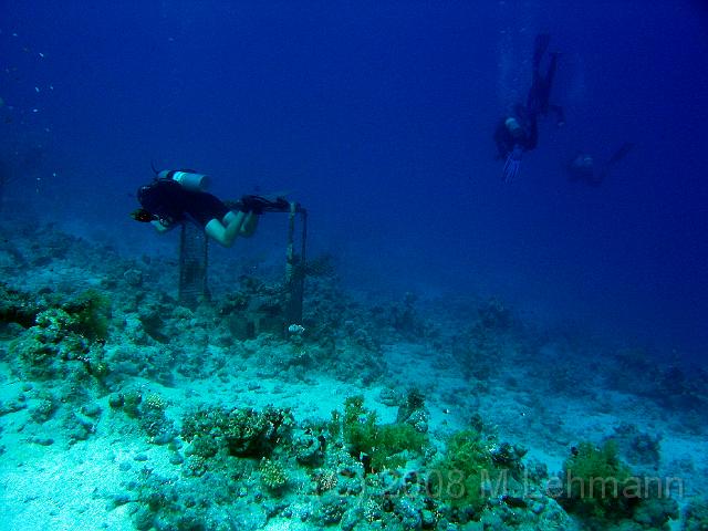 IMG_7743.JPG