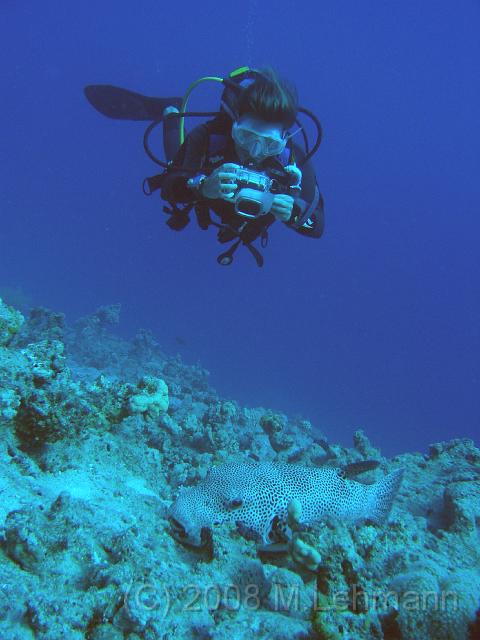 IMG_7748.JPG
