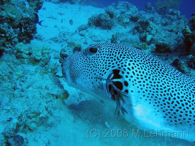 IMG_7750.JPG