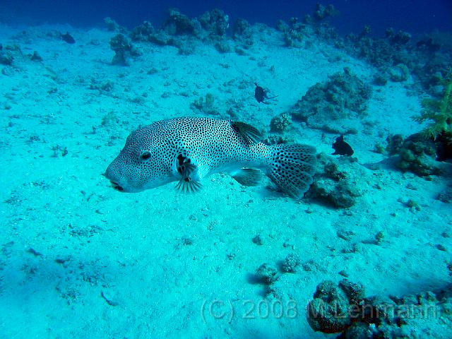 IMG_7751.JPG