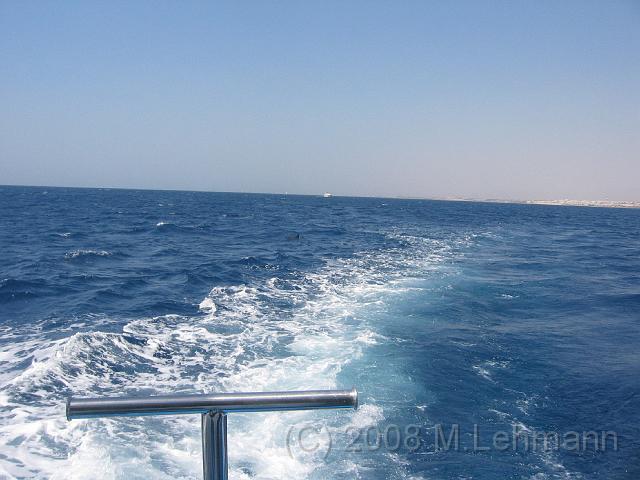 IMG_7764.JPG