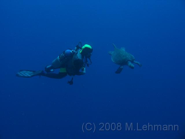 IMG_7772.JPG