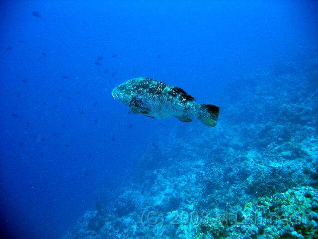 IMG_7783.JPG