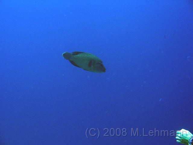 IMG_7803.JPG