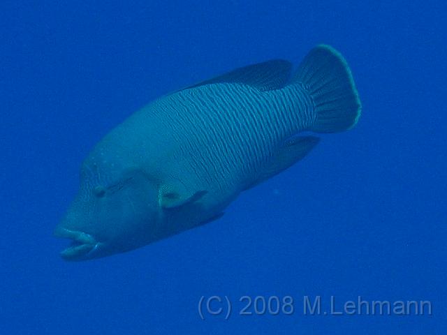 IMG_7806.JPG