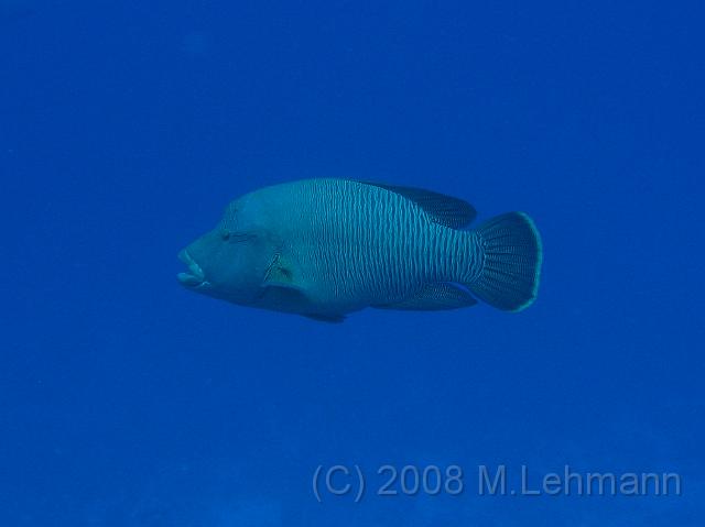 IMG_7807.JPG