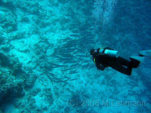 IMG_7809.JPG