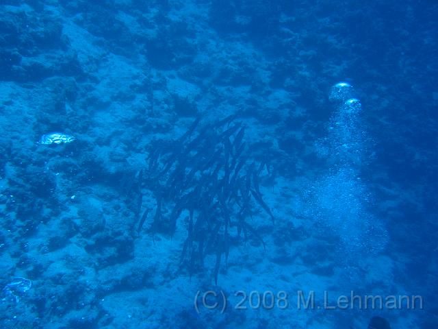 IMG_7810.JPG