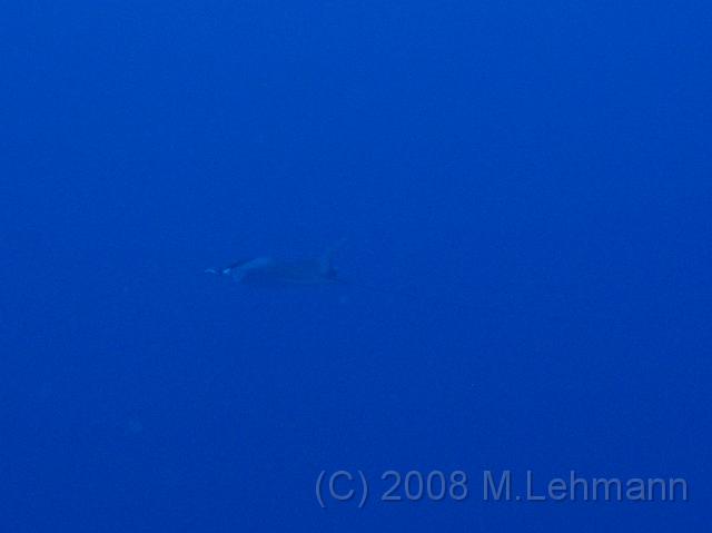 IMG_7814.JPG