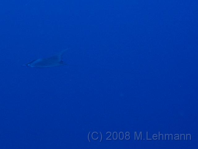 IMG_7816.JPG