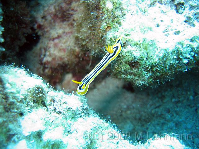 IMG_7819.JPG