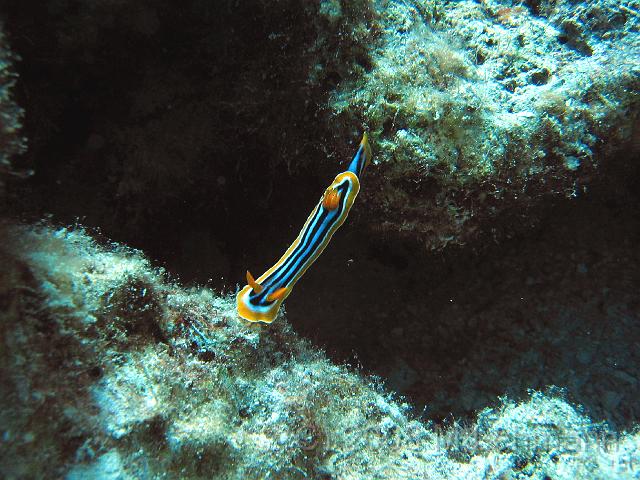 IMG_7820.JPG