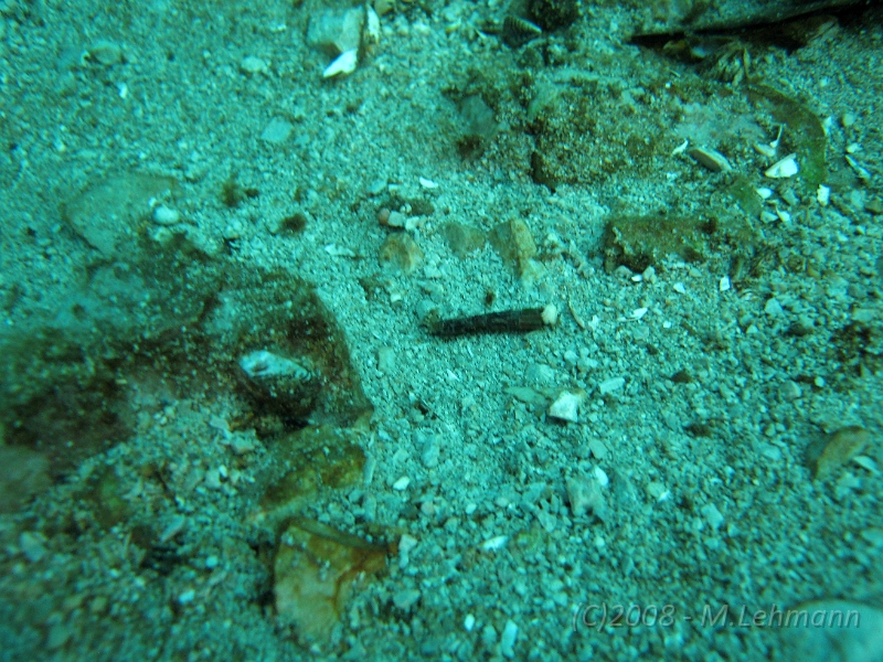 IMG_6040.JPG