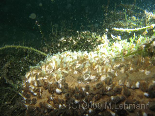 IMG_1197.JPG