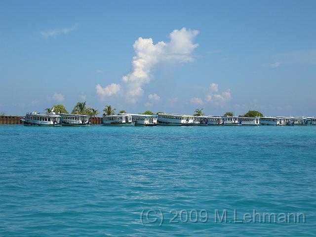 IMG_1259.JPG