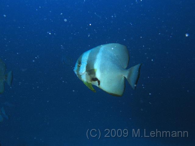 IMG_1286.JPG