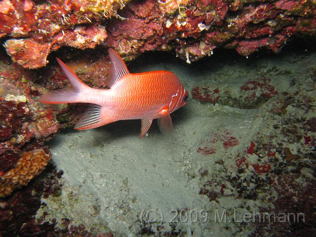 IMG_1287.JPG