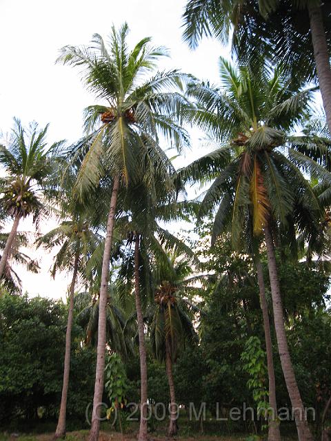 IMG_1313.JPG