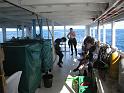 IMG_1273