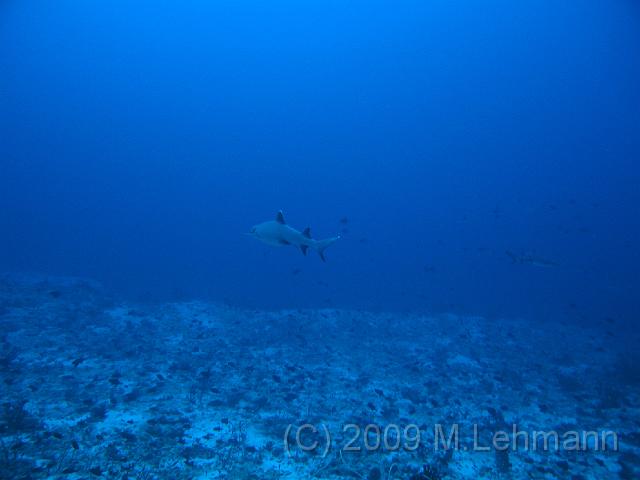 IMG_1367.JPG