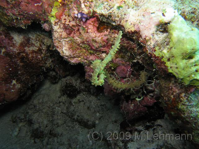 IMG_1389.JPG
